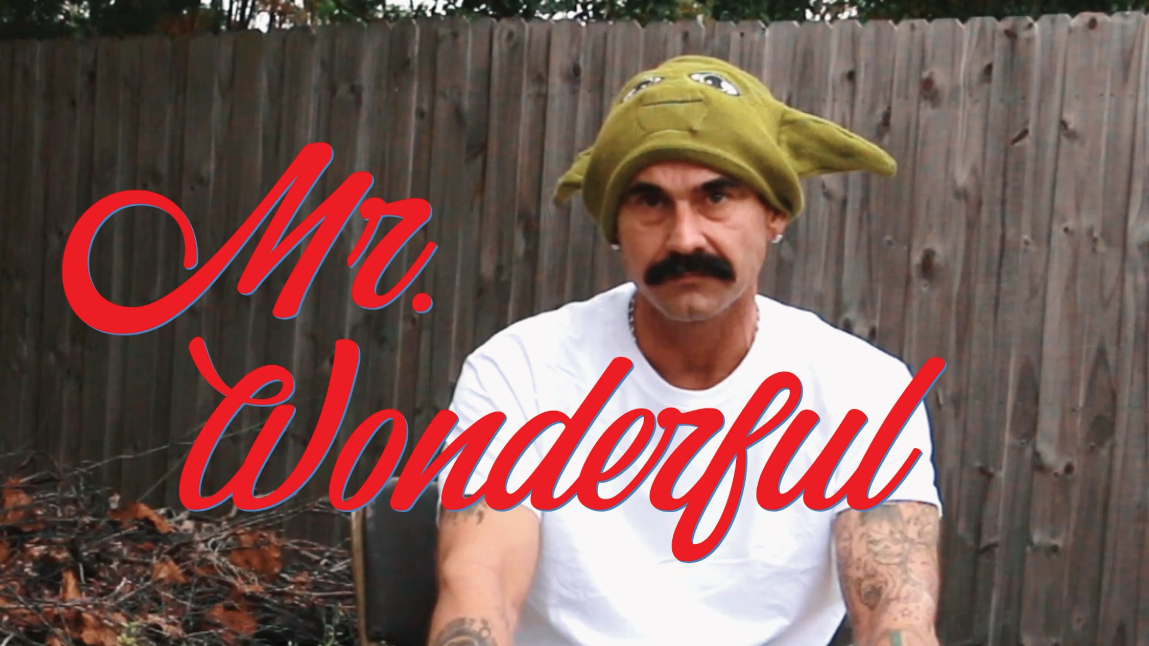 Mr. Wonderful poster